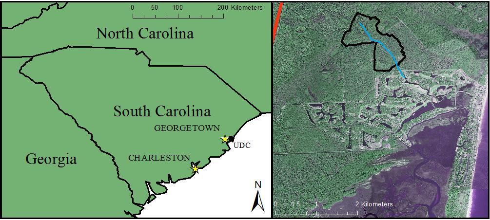 Figure 3.1. Upper Debidue Creek watershed, located in coastal South Carolina, is slated for development.
