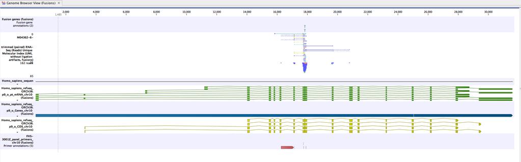 CHAPTER 4. TARGETED RNASCAN 46 Figure 4.4: An example of fusion in a Genome Browser View.