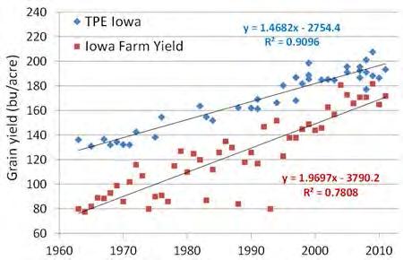 Relative importance of yield gains due to genetic verses