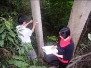 observations Monitoring biomass,