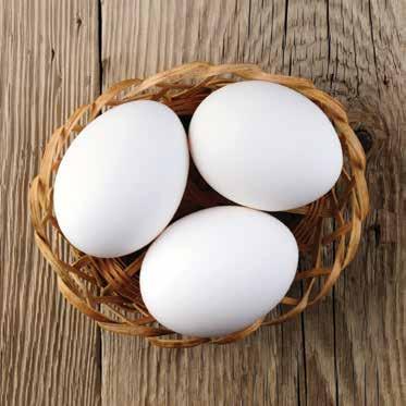 promotes egg consumption while representing the interests of regulated egg farmers from