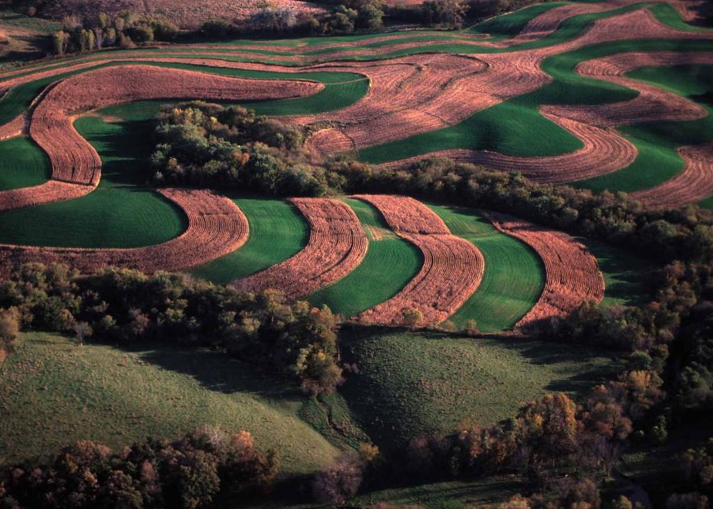 Advantages: Strip Cropping Can provide control of wind and water erosion http://allamakeeswcd.org/wpcontent/uploads/2010/04/contourfarming.