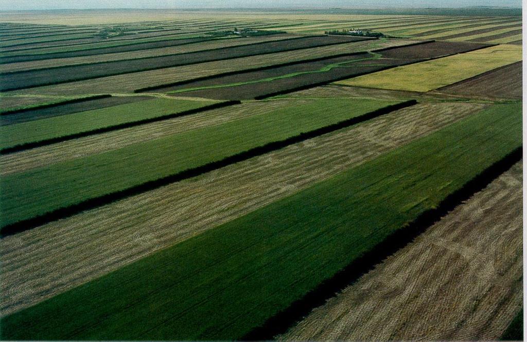 Advantages: Strip Cropping Can provide control of wind and water erosion Provides protection for