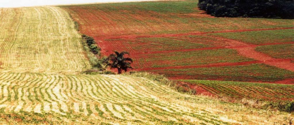 PROBLEMS ASSOCIATED WITH THE NO-TILL THECNIQUE IN BRAZIL (SUBTROPICAL REGION) The strong, general impact of no-till leads