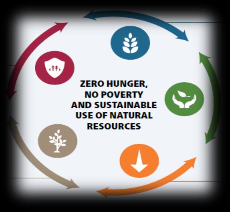 THE STRATEGIC FRAMEWORK OF FAO Strategic Programme 1 HELP ELIMINATE HUNGER, FOOD INSECURITY AND MALNUTRITION