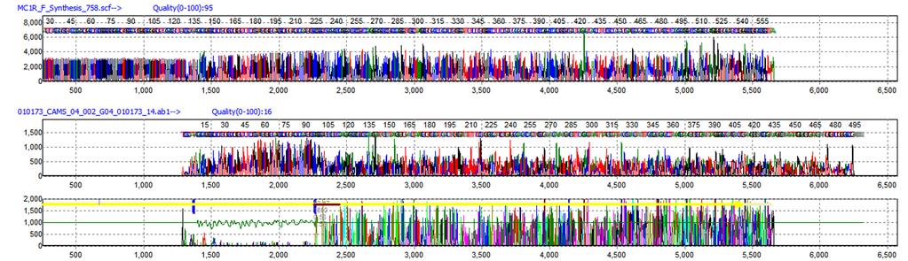 Heterozygous INDEL Deconvolution Mutation Surveyor Heterozygous INDEL Deconvolution tool automatically deconvolutes the heterozygous mutant trace from the wild-type trace.