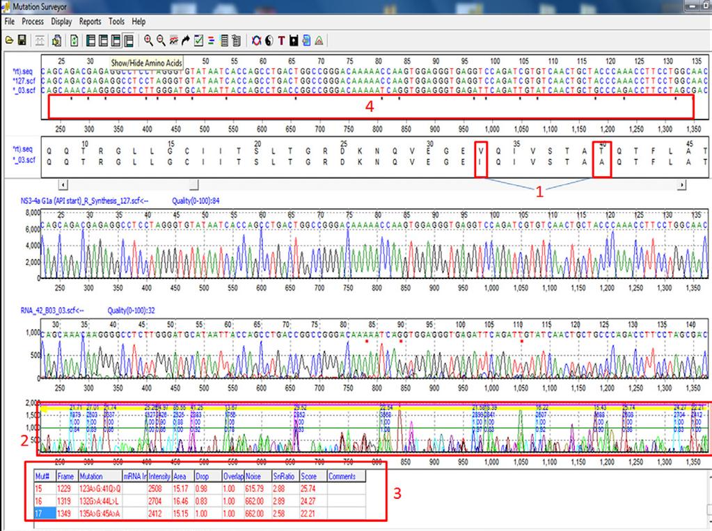 Hypervariable Sequence Analysis Using Mutation Surveyor software s multi-step alignment algorithm, the software aligns hypervariable sequences to the correct reference for mutation detection.