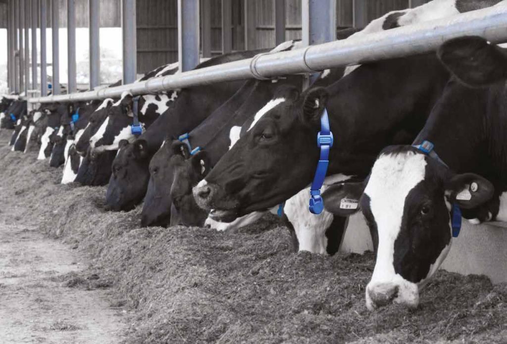 www.cogentuk.com Be sure that every cow in your herd is maximising it's potential... Call Cogent today!