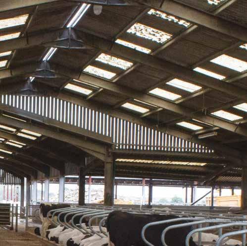 We started the dairy business in October 2014 with 200 Holsteins located near Barnstaple in Devon.