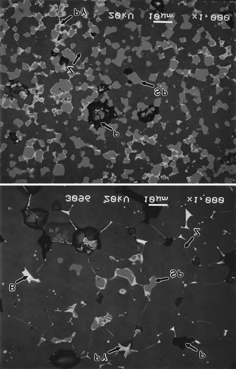 Figure 3: SEM backscattered electron (BE) images of non-etched microstructures of samples, fired at 1200 C for 2 hours; a) SN05, b) SN10.