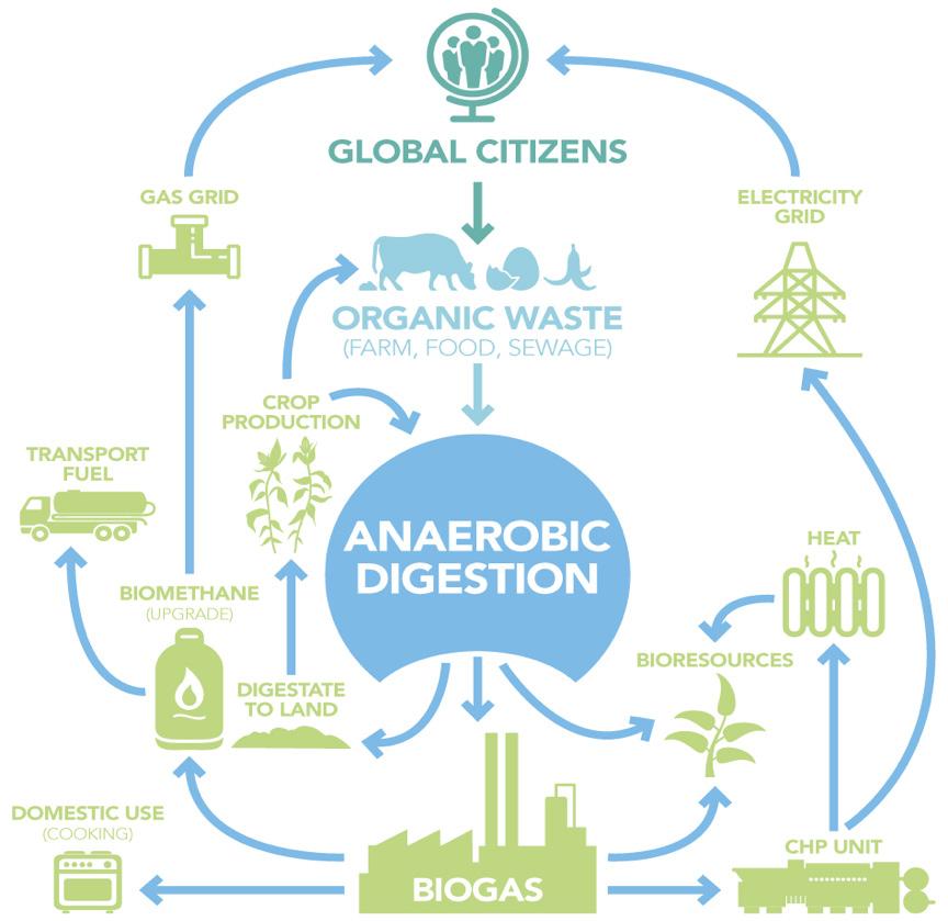 TECHNOLOGY SUPPORTS COST SCALE 1-5 FOOD (LOW-TO-HIGH) WASTE REDUCTION ENERGY PRODUCTION NUTRIENT RECOVERY CAN BUILD SOIL ORGANIC MATTER FOOD WASTE SEPARATELY COLLECTED Anaerobic digestion 4 In-vessel