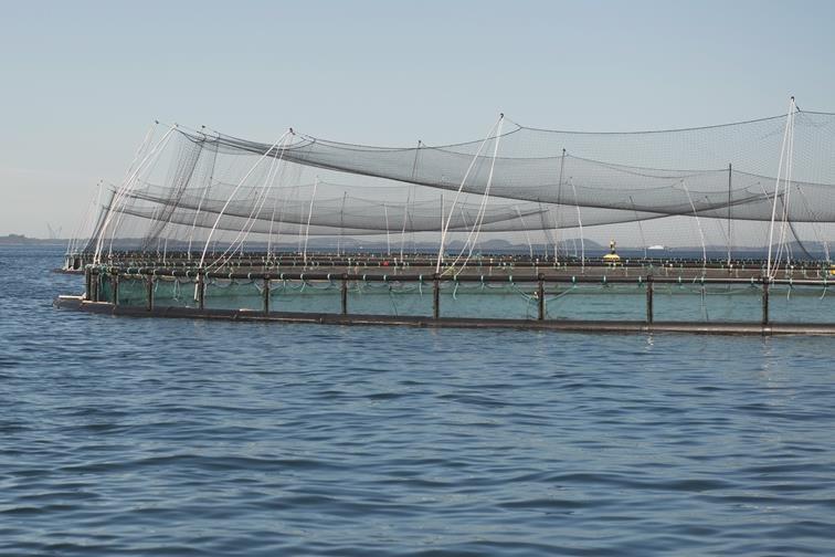 AKVA group has signed LOI to acquire Egersund Net Egersund Net is a 600 MNOK company providing fish nets and mooring solutions.