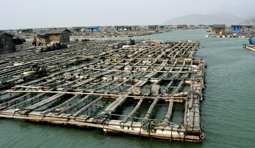 Fish farms in China