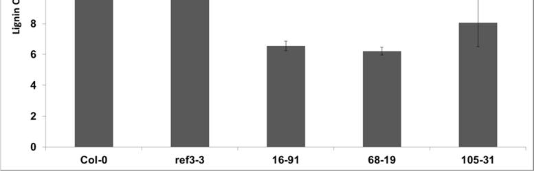Figure 5: The ref3-3 enhancer mutants show reductions in lignin content. Arabidopsis plants were grown for twelve weeks and stems were ground to powder.