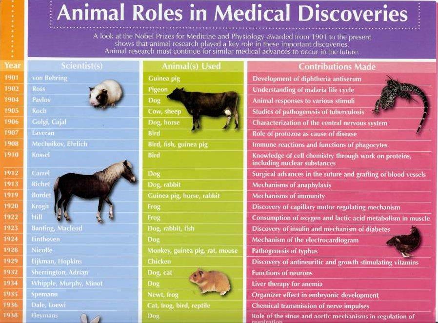 Animals are Crucial in Biomedical Research Almost all Nobel prize winning discoveries in Medicine and Physiology involved