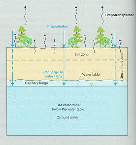 INFLOWS Areal recharge from precipitation that percolates through the unsaturated zone to the water table Recharge from losing