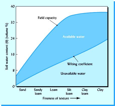 The soil texture is important as it affects the infiltration capacity and combined with rooting depth determines how much water the soil can hold for use by the plant. See Figure below.