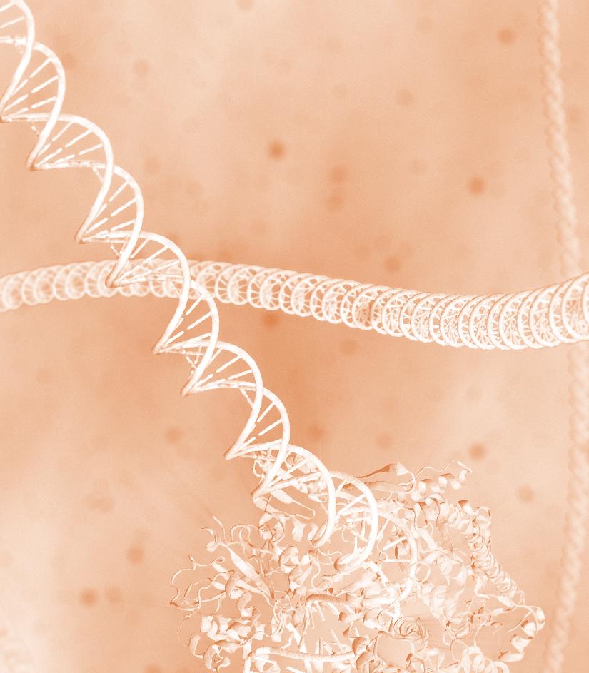 Choose the right DNA ligase product for your needs. NEB offers a variety of ligases for DNA research.
