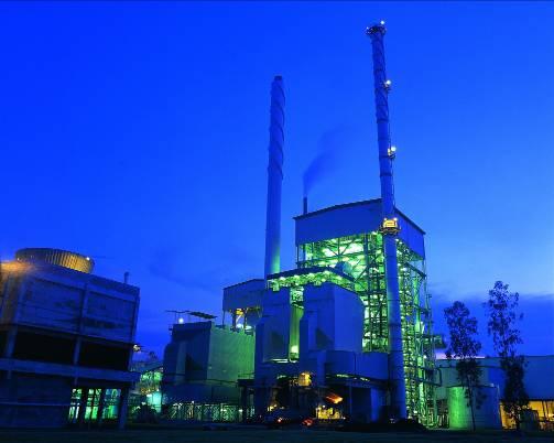 Project Financing for Biomass Power