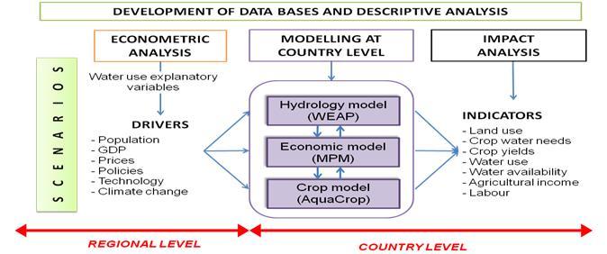 2 VARELA-ORTEGA, ESTEVE, BLANCO, CARMONA, RUIZ & RABAH the general database on water and agriculture elaborated from public databases, such as FAOSTAT, AQUASTAT and the World Bank s public DataBank;
