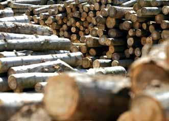 Quality timber produced with Conscience Environmentally Efficient Operations & Accountability Our goal is to minimise the environmental impact of our operations.