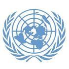 Guidelines UN Guiding Principles for