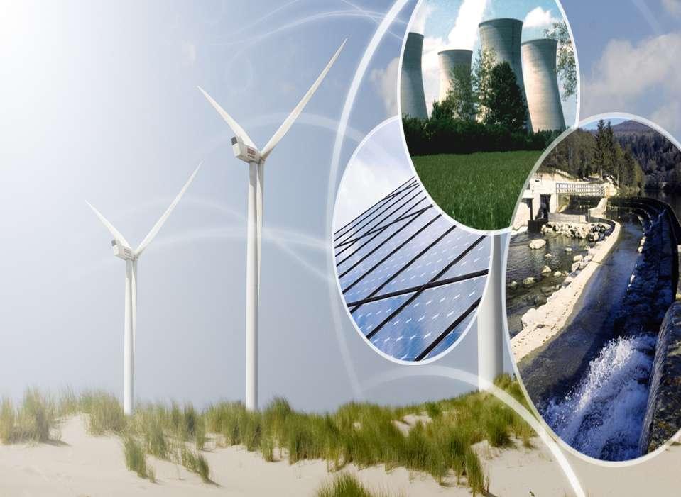 The EU Renewable Energy Framework for Biogas Giulio Volpi