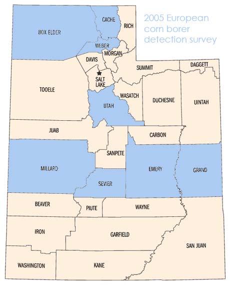 Detection surveys in corn-producing counties (80 traps)
