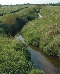 The Kishwaukee and its tributaries are threatened because construction and agricultural activities do not adequately control pollution or flooding.
