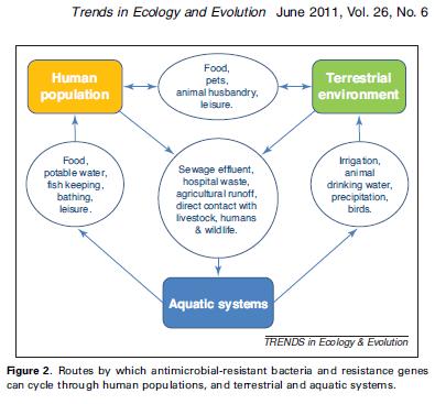 Environmental Reservoirs Aquatic Systems as Sinks AMR IN THE ENVIRONMENT Soils