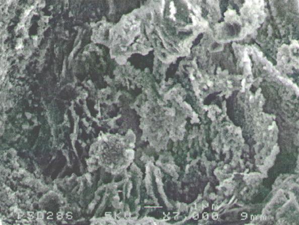 15-16 are SEM images of fly ash A. It s demonstrated in Figs. 15-16 that the particles of fly ash are mostly spherical particles and have complex inner surface structure.