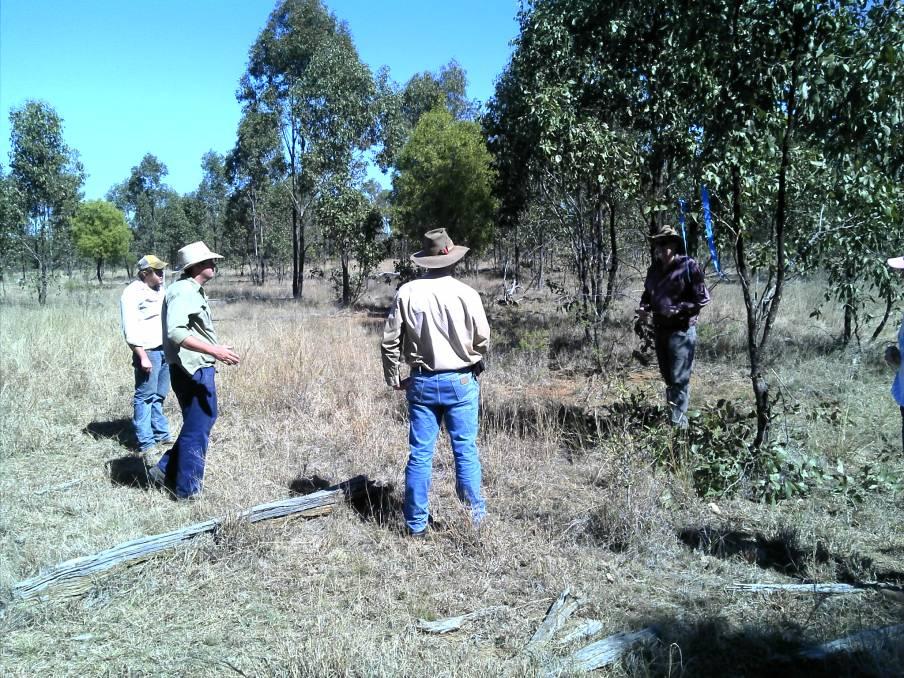 Oaklands regrowth trial South of Duaringa Question: How much regrowth should be retained?