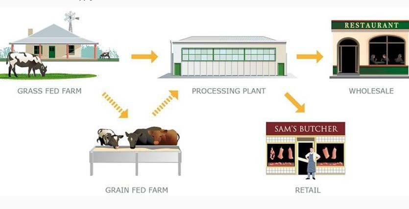 Greenhouse gas emissions and beef Mitigation of GHG impacts beef production chain Options uncertain