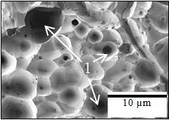 N. F. Asri et al. Morphology surface of corrosion analysis SEM surface morphology analysis results for Ti-6Al-4V are shown in Figure 7.