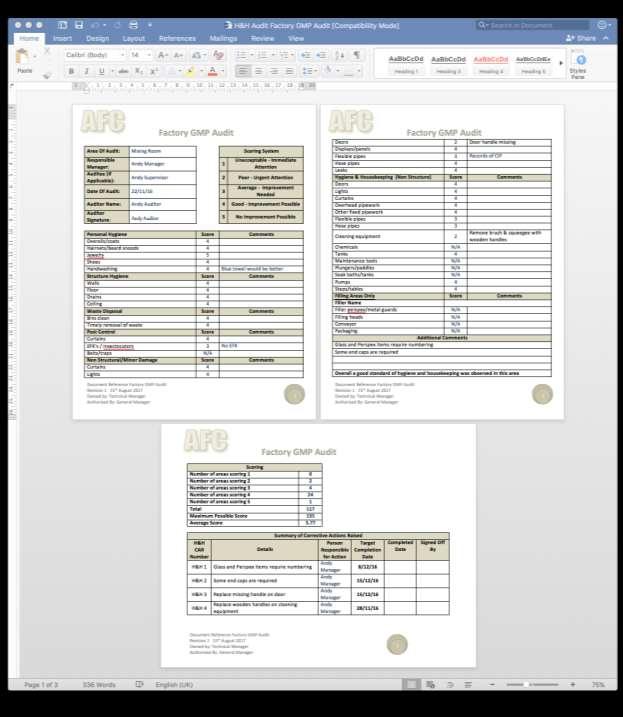 Sample Audit Documents There are sample audit