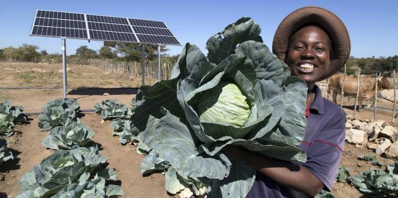 Small-scale Irrigation (SSI) in Sub-Saharan Africa: