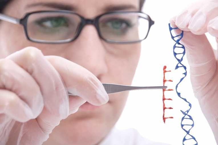 Genetic Engineering Genetic engineering is the manipulation of