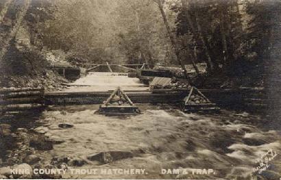 History and Setting Hatchery established in 1901 by King County Hatchery established primarily for steelhead and trout production Transferred to Washington Department of Game in 1930 s 32.2 sq. mi.