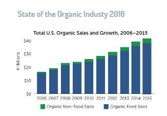 Growth of Organic About 55% increase in organic