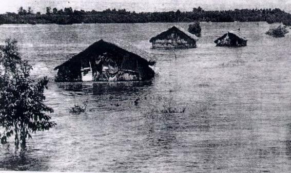 The loss caused by floods in the year 2000: People