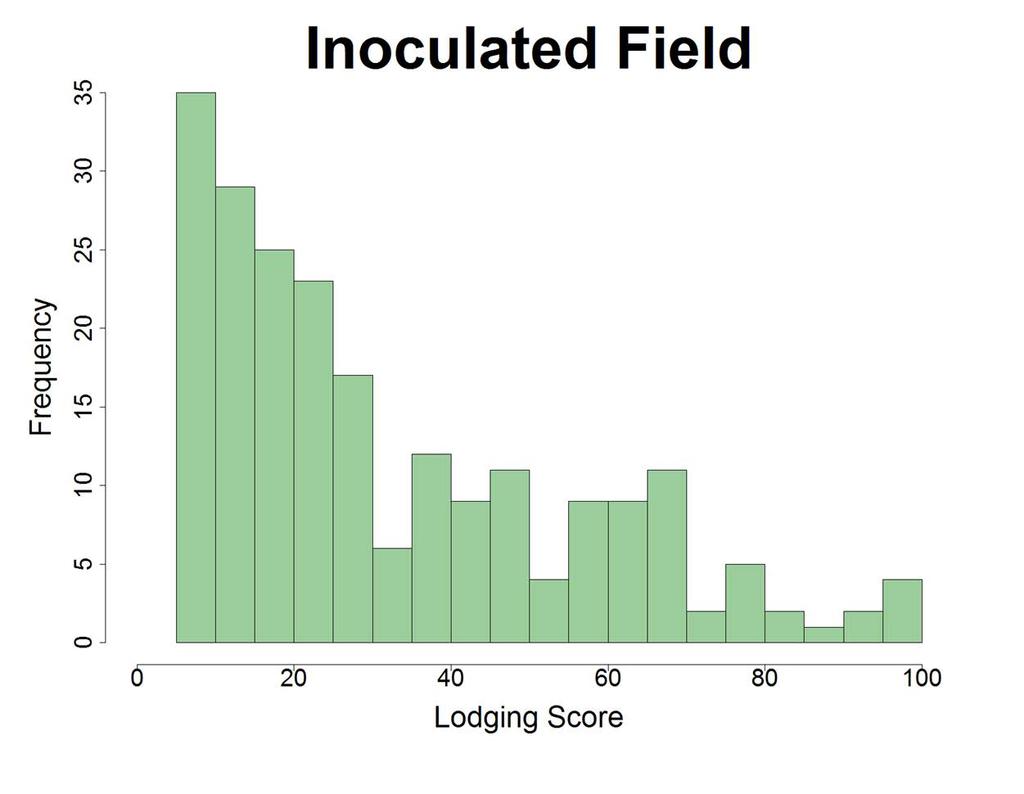 Lodging Score Residuals Follow a Non-Normal Distribution The Box-Cox procedure was implemented, and λ=-0.