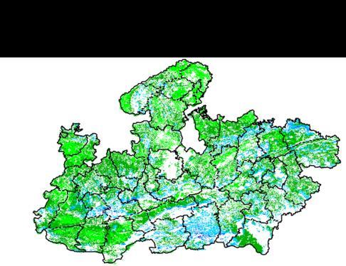 Agriculture vigour is normal (0.2-0.3) over entire state Madhya Pradesh.