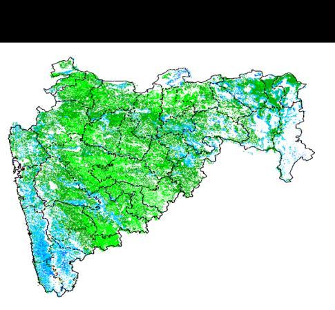 Agricultural vigour is good over south west part and few patches from central Vidarbha