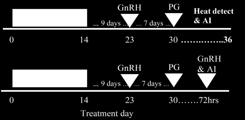 Breeding program No. pregnant No. inseminated Pregnancy rate (%) Estrus detection & AI 499 830 60 Fixed-time AI 518 853 61 Tauck et al. (2007) compared CIDR-PG and MGA-PG protocols in beef heifers.