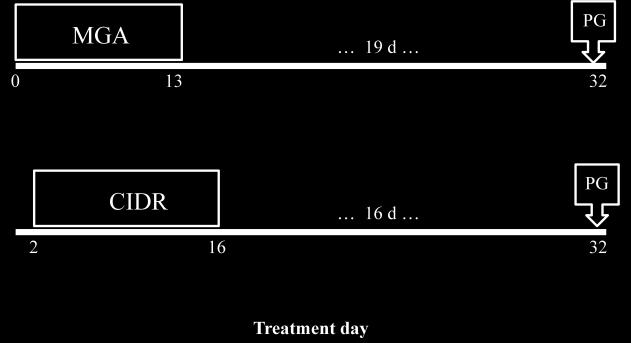 Figure 9. Treatment schedule for heifers assigned to the MGA-PG and 14-day CIDR- PG treatment protocols. Heifers assigned to MGA-PG received MGA in a 1.