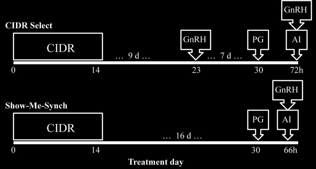 How do the CIDR Select (CIDR-GnRH-PG) and 14-day CIDR-PG protocols compare on the basis of pregnancy rates resulting from fixed-time AI in heifers? Mallory et al.