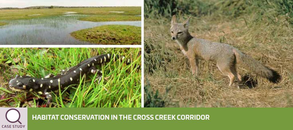 LEVERAGE PROJECT SCALE: HABITAT 2,500 acres of habitat preserved and restored 1,200 acres of