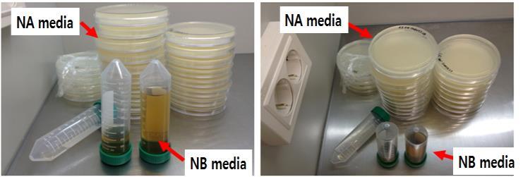 3.1. Production of Nutrient Agar Media for Soil Bacteria Culture Fig.