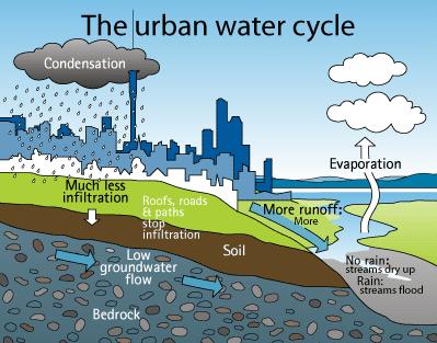 Urban Disturbances to Hydrologic