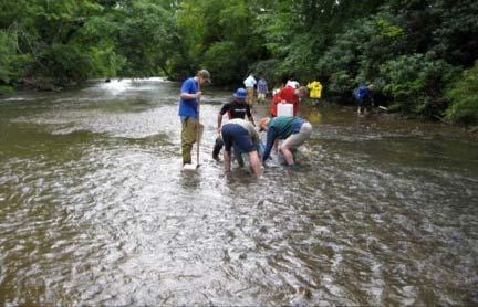 What Makes a Stream Healthy? 1. Bed stability & diversity 2. Sediment transport balance 3.